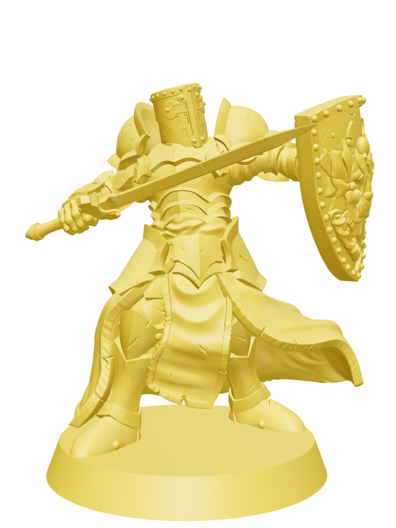 DOOMTILE paladin hero miniature